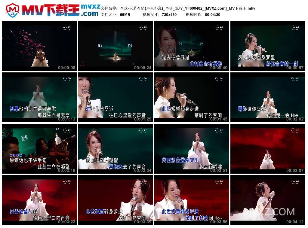 李玟-天若有情(声生不息)_粤语_流行_YF600482